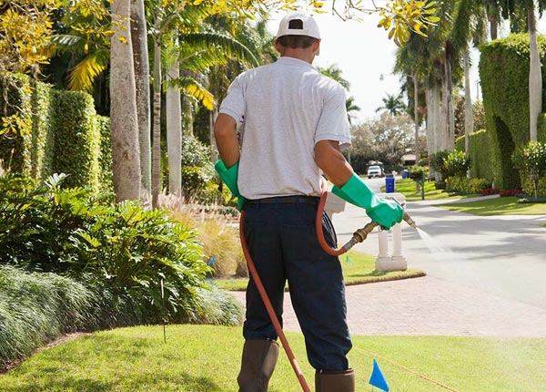 About Mc Alpin FL Pest Control Pros